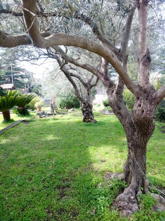 Etna Travellers B&B Маскалуча Экстерьер фото